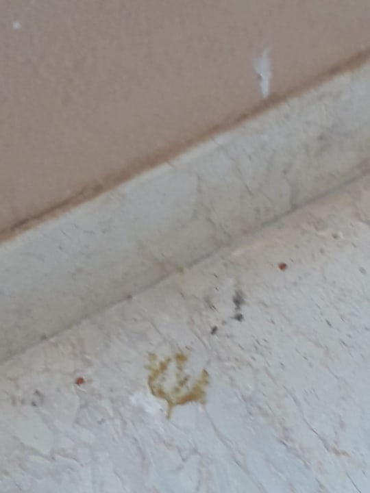 Zimmer Continental Hotel Hurghada