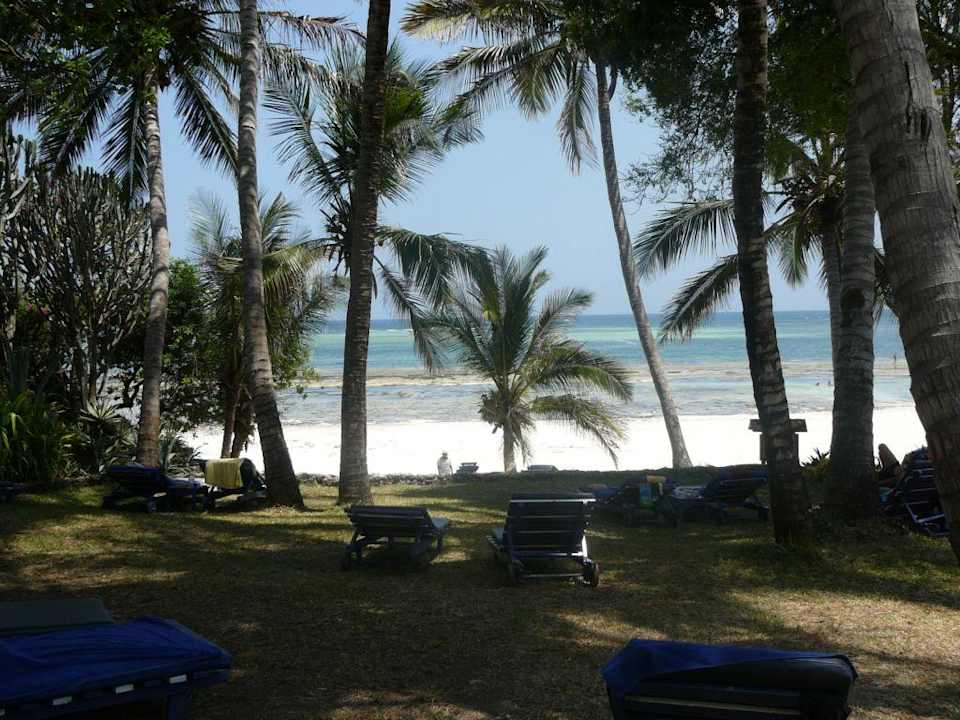 Schattenspendender Garten mit Blick auf Ebbestrand Kaskazi Beach Resort