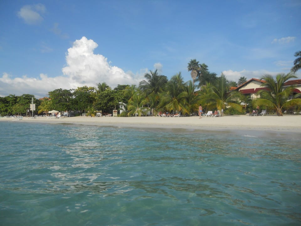 Suuuuper zum Schwimmen Charela Inn Hotel