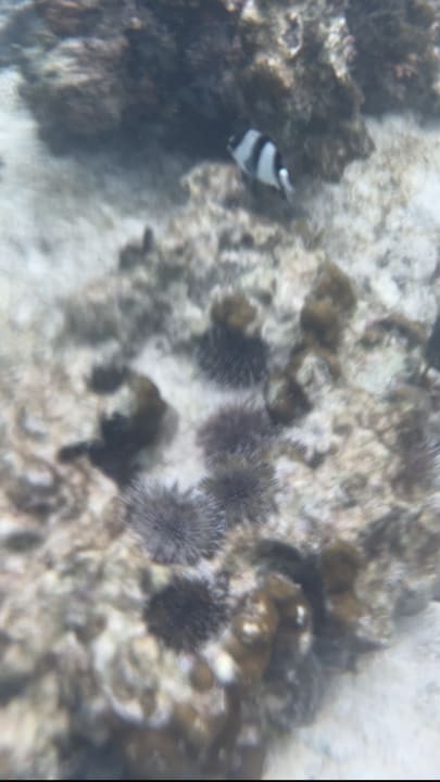 Strand Henann Resort