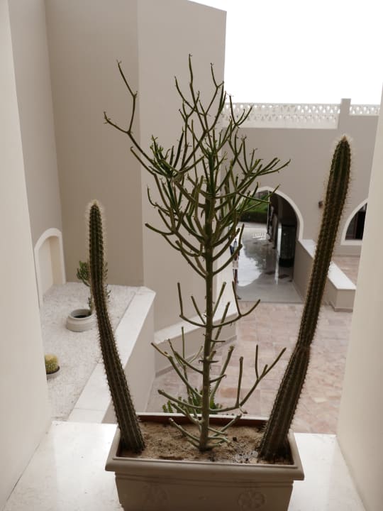 Gartenanlage Iberotel Makadi Beach