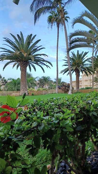 Gartenanlage Club Hotel Drago Park