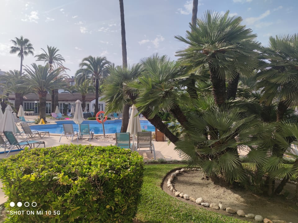 Pool Alcudia Garden Aparthotel