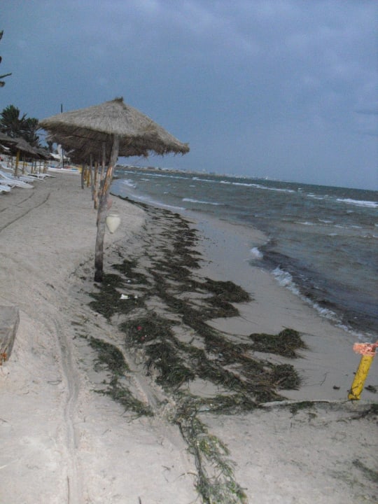 Špinavé a neudržované pláže Houda Golf & Beach Club