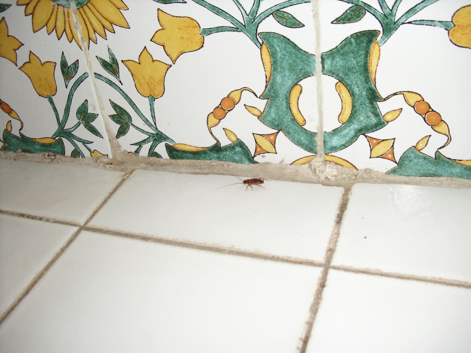 Salle de bain blattes Alassio Hotel and Thalasso