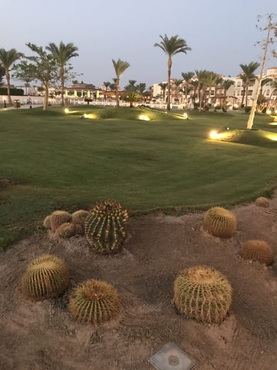 Gartenanlage Pickalbatros Dana Beach Resort - Hurghada