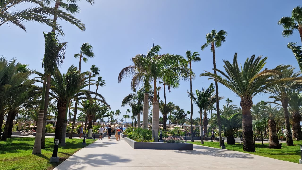 Gartenanlage Hotel Riu Gran Canaria
