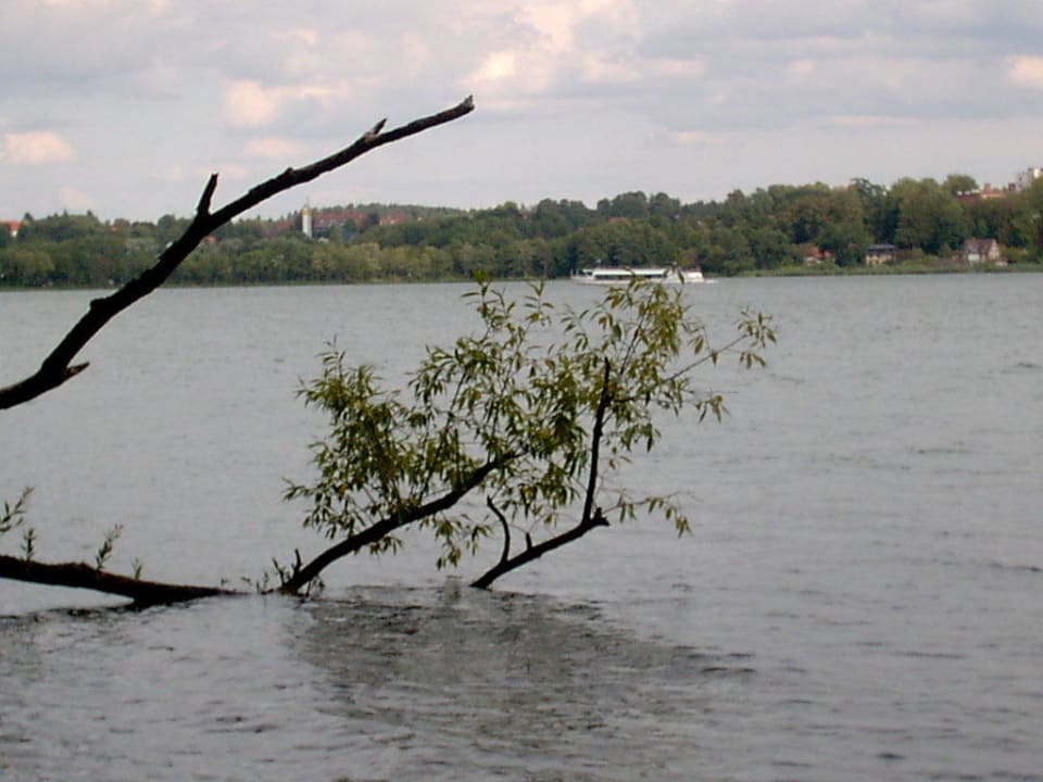 Seeseite Hotel Farchauer Mühle