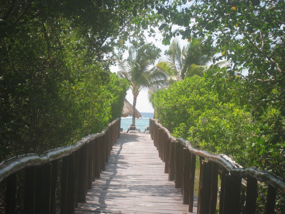 Ein Weg zum Strand Grand Palladium Colonial Resort & Spa