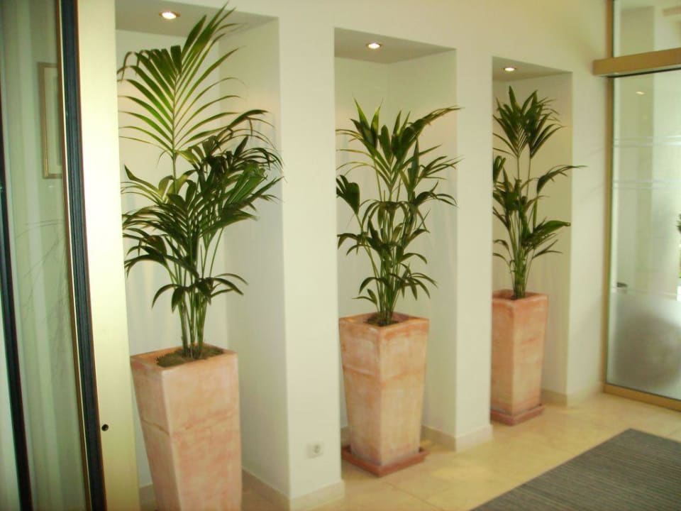 Eingang Alpina Alpendorf