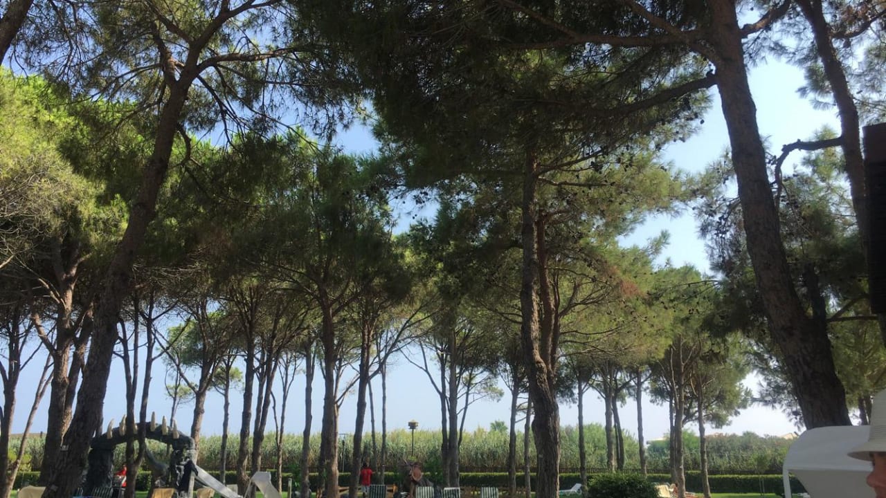 Gartenanlage Xanadu Resort Hotel