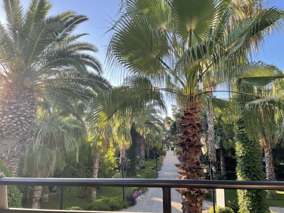 Ausblick Paloma Oceana