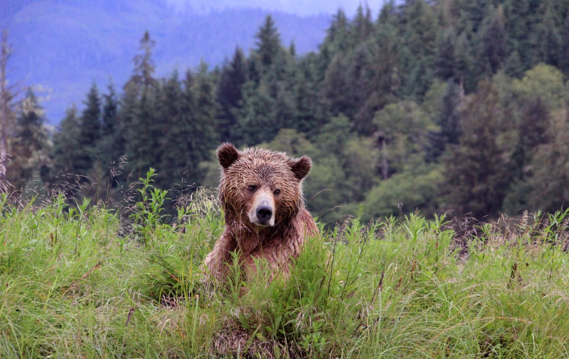 Sport & Freizeit Hotel Knight Inlet Lodge