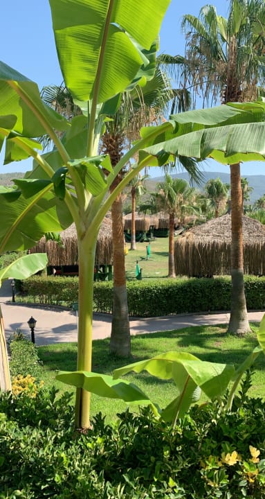 Ausblick Green Bay Resort & Spa