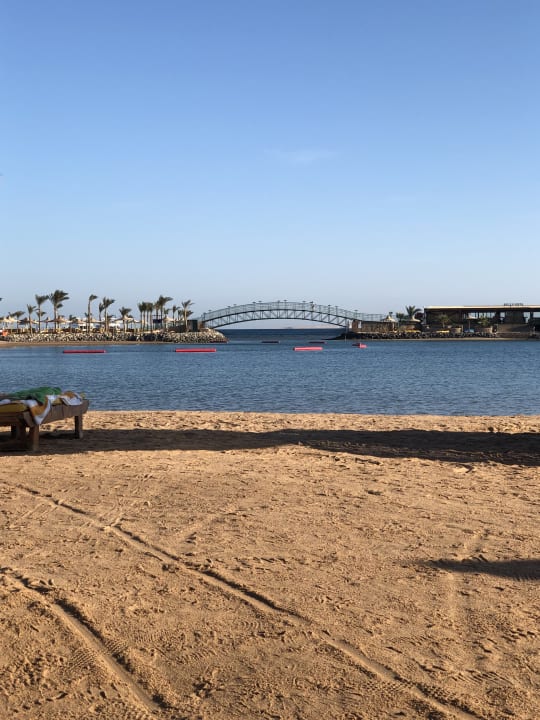 Außenansicht Desert Rose