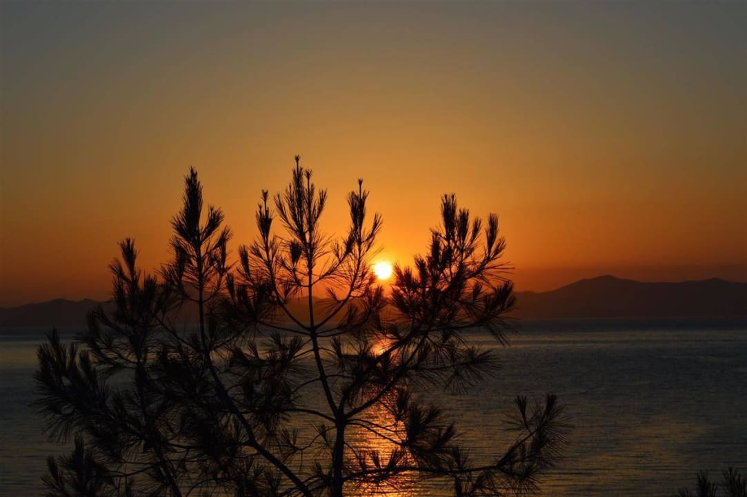 Traumhaft Hillside Beach Club