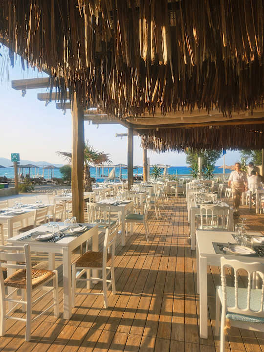 Gastro Paralos Lifestyle Beach