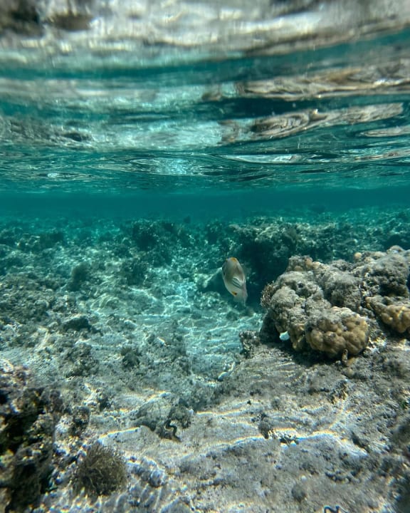 Strand Lazuli Hotel Marsa Alam