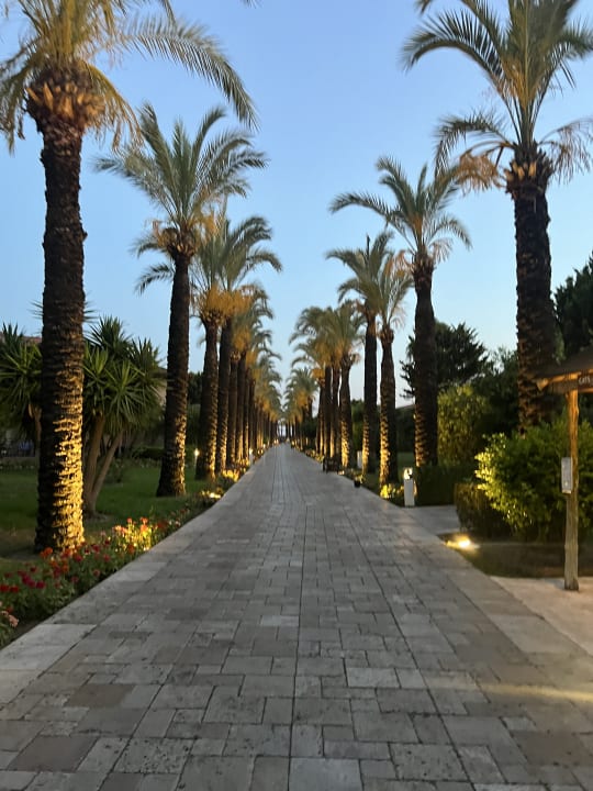 Gartenanlage TUI BLUE Palm Garden