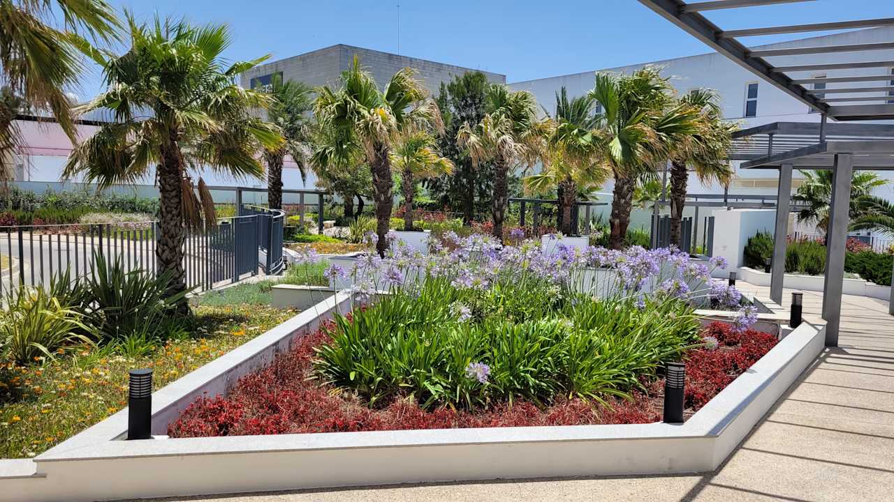 Gartenanlage Fuerte Conil-Resort