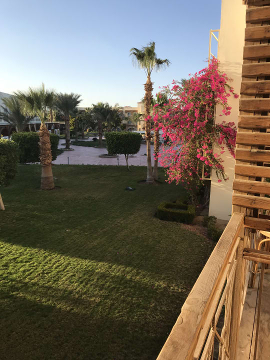 Ausblick Desert Rose