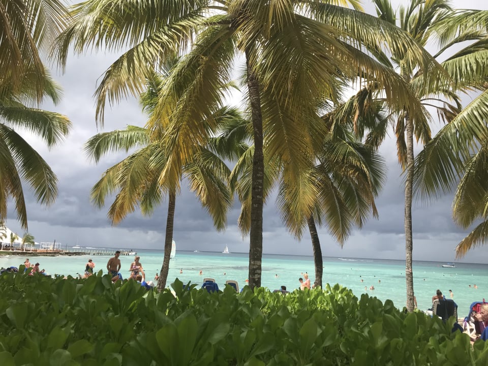 Strand Hotel Viva Dominicus Beach by Wyndham - All Inclusive Resort