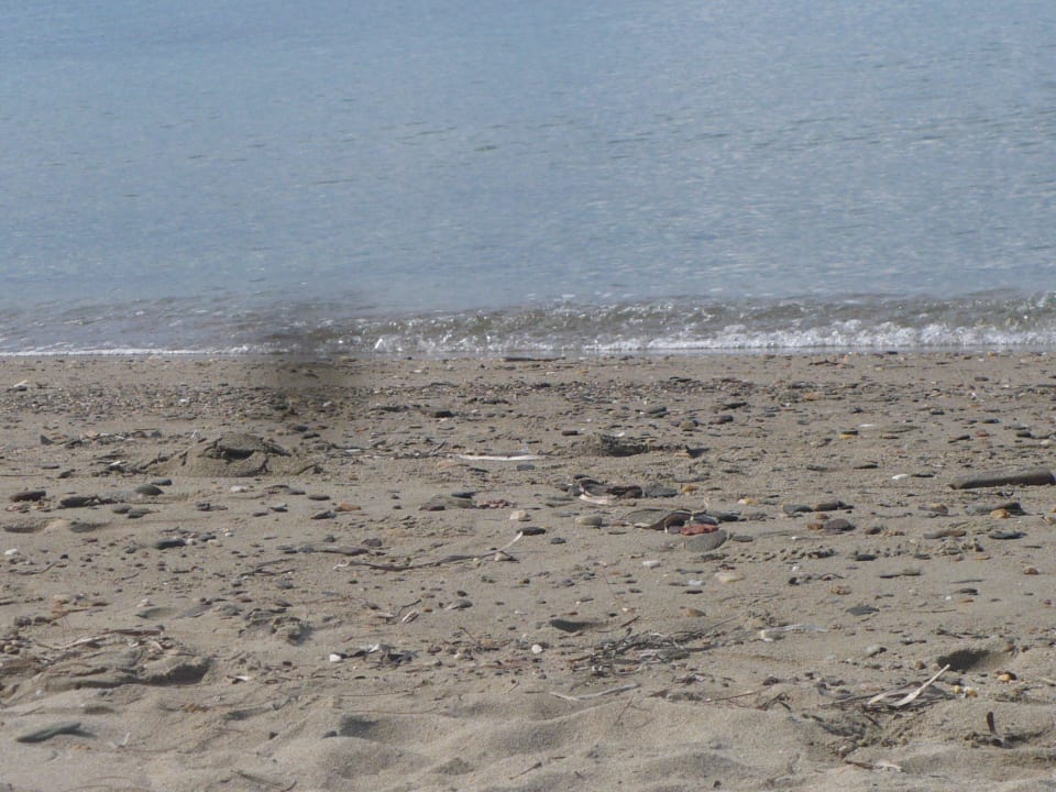 Brdu i syf Acrotel Elea Beach