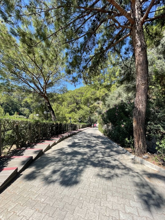 Sonstiges TUI BLUE Seno - Adults Only