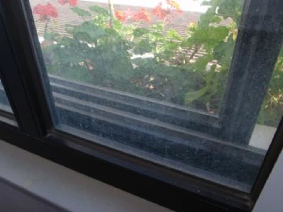 Gereinigtes Fenster Albatros Spa & Resort Hotel