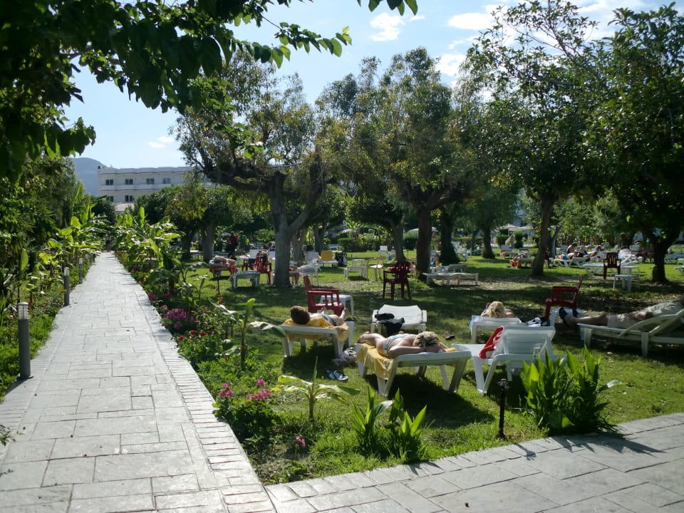 Liegewiese Irene Palace Beach Resort Club alltoura