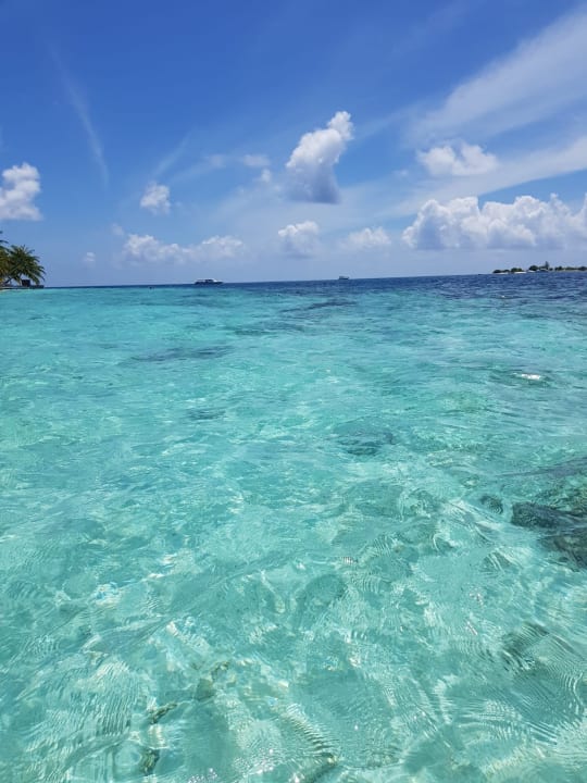 Strand Vilamendhoo Island Resort & Spa