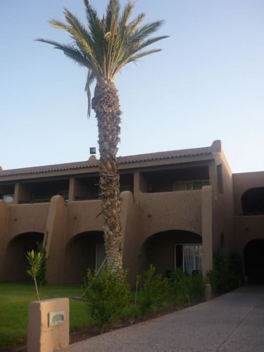 Jardin et vue chambre Hotel Riu Tikida Palmeraie