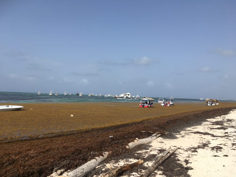 Strand Meliá Caribe Beach Resort-All Inclusive