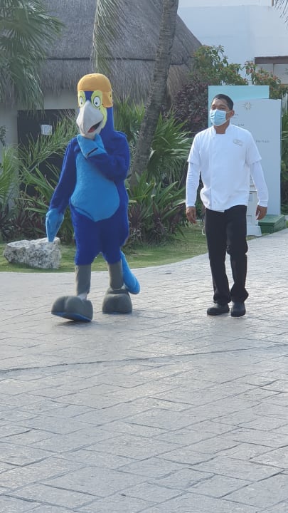 Gartenanlage Bahia Principe Grand Tulum