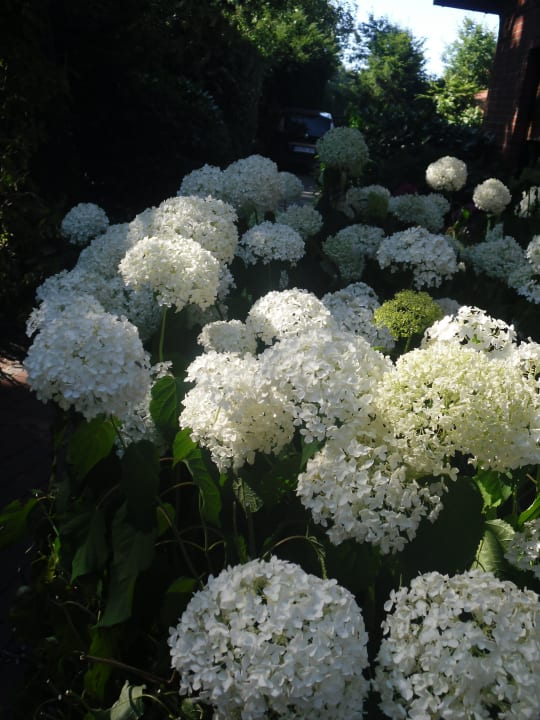 Gartenanlage Landhuus Laurenz