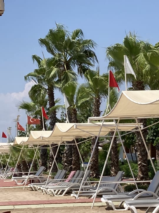 Strand Hotel Delphin Diva
