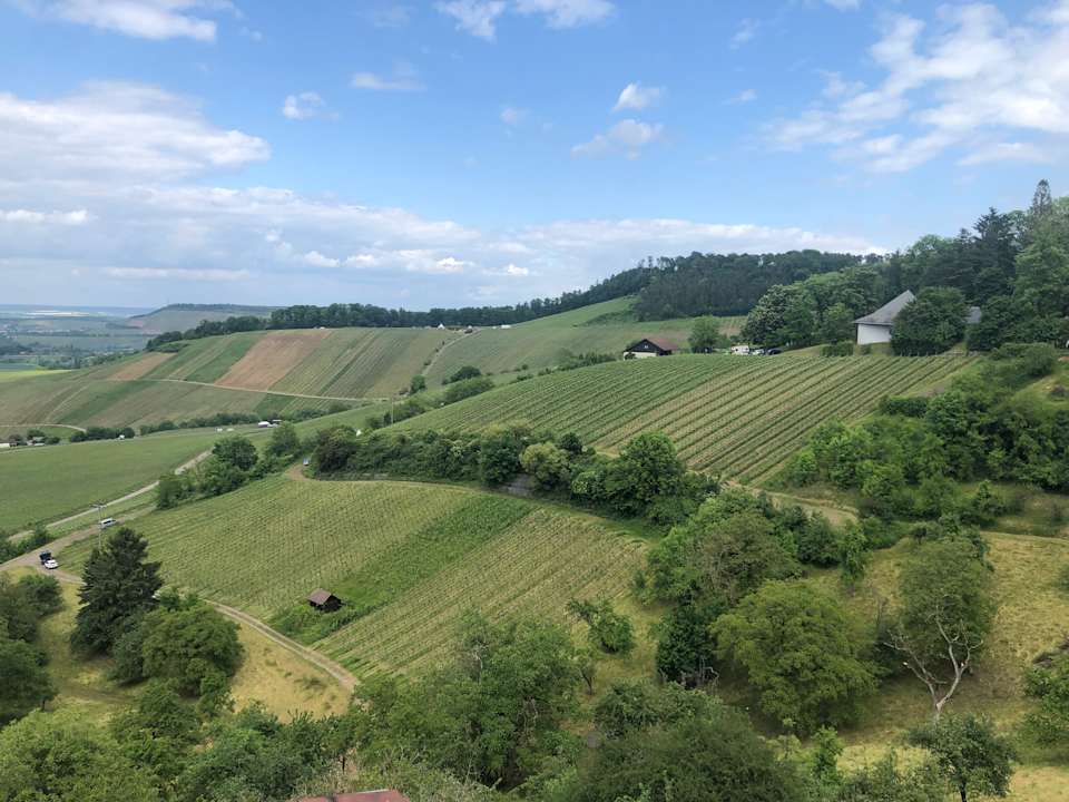 Ausblick Landhaus Hohly