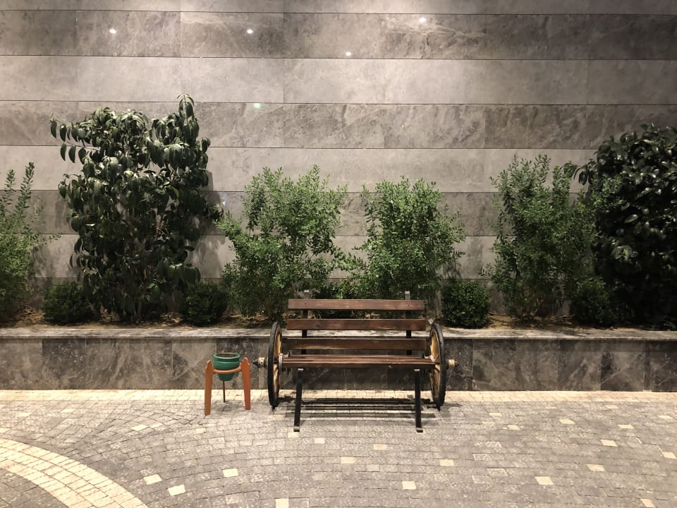 Sonstiges Seashell Vega