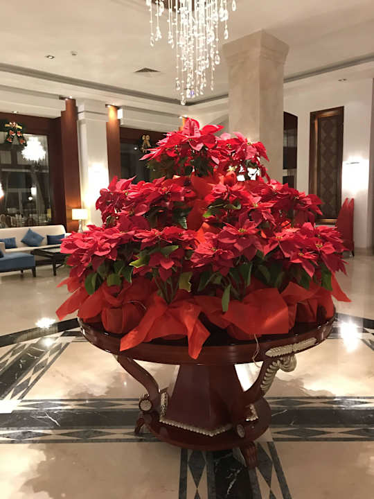 Weihnachtssterne Premier Le Reve Hotel & Spa