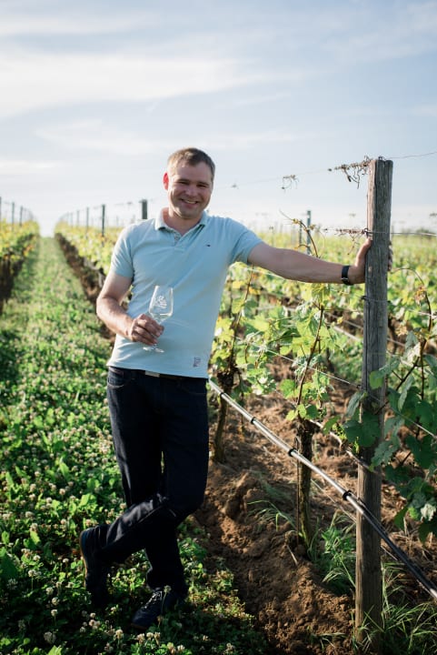 Sonstiges Gasthof Weingut Borst