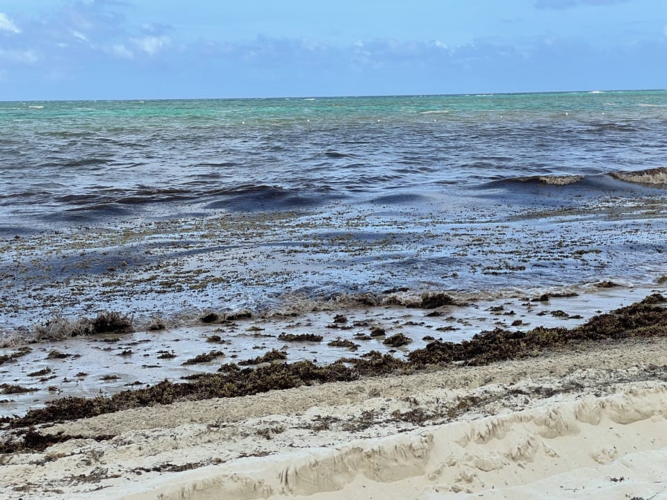 Strand Hotel Riu Palace Punta Cana