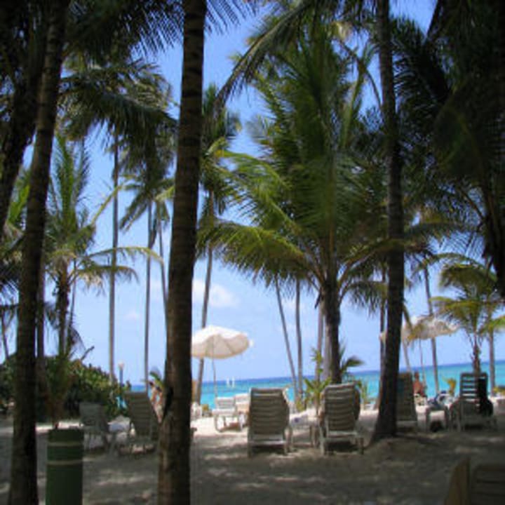 Strand Hotel Riu Palace Macao - Adults only