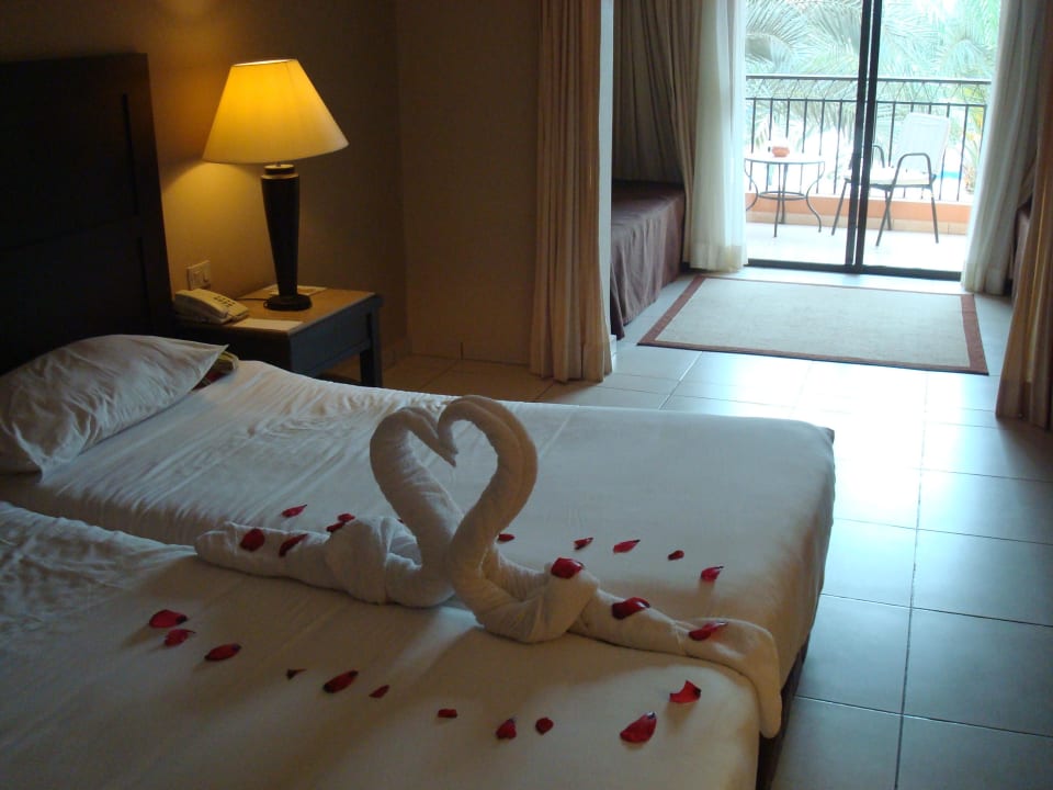 Haustiere Jaz Dar EL Madina