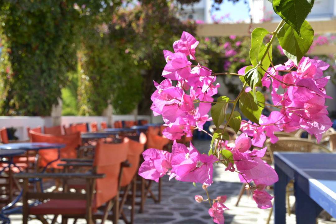 Gastro Ekaterini Hotel