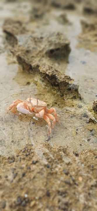 Sonstiges Three Corners Sea Beach Resort