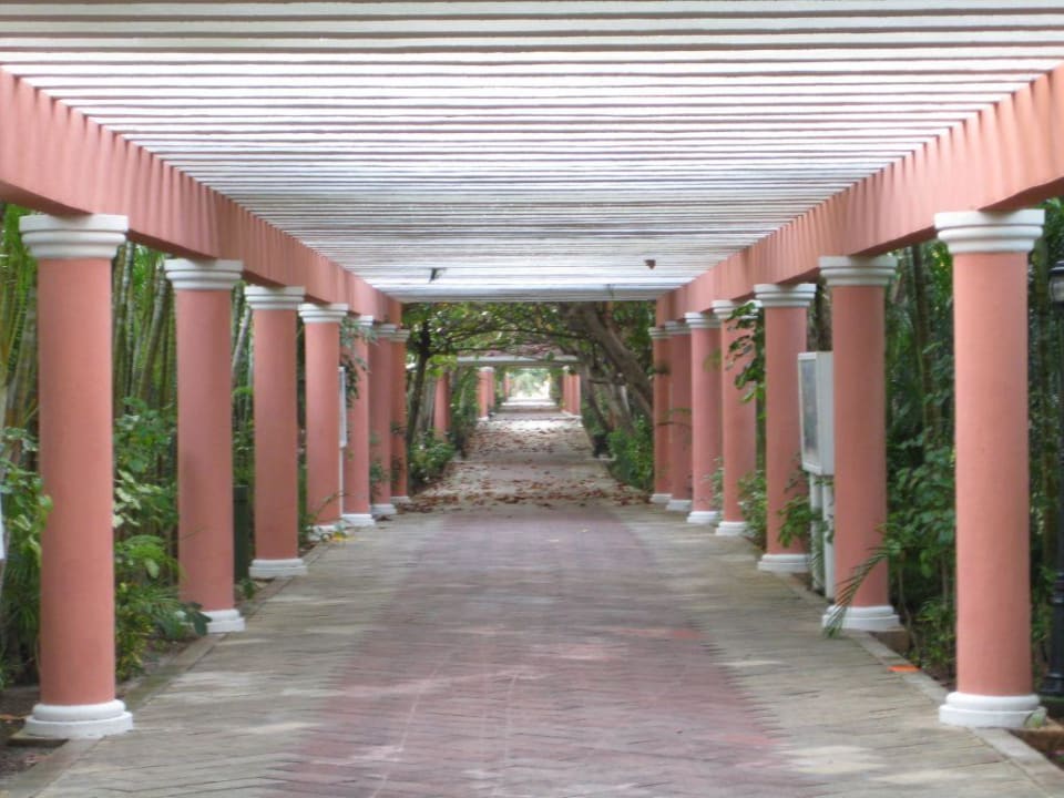 Der Weg zum Strand Hotel Riu Tequila