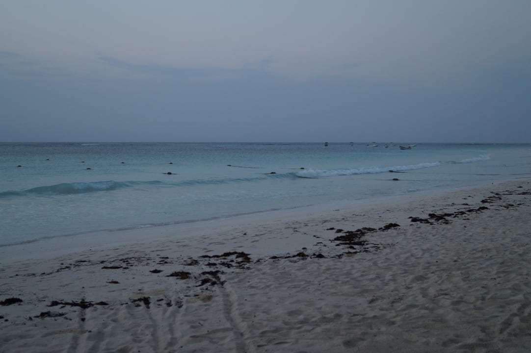 Strand vor Sonnenaufgang Catalonia Royal Tulum Beach & Spa Resort - Adults only