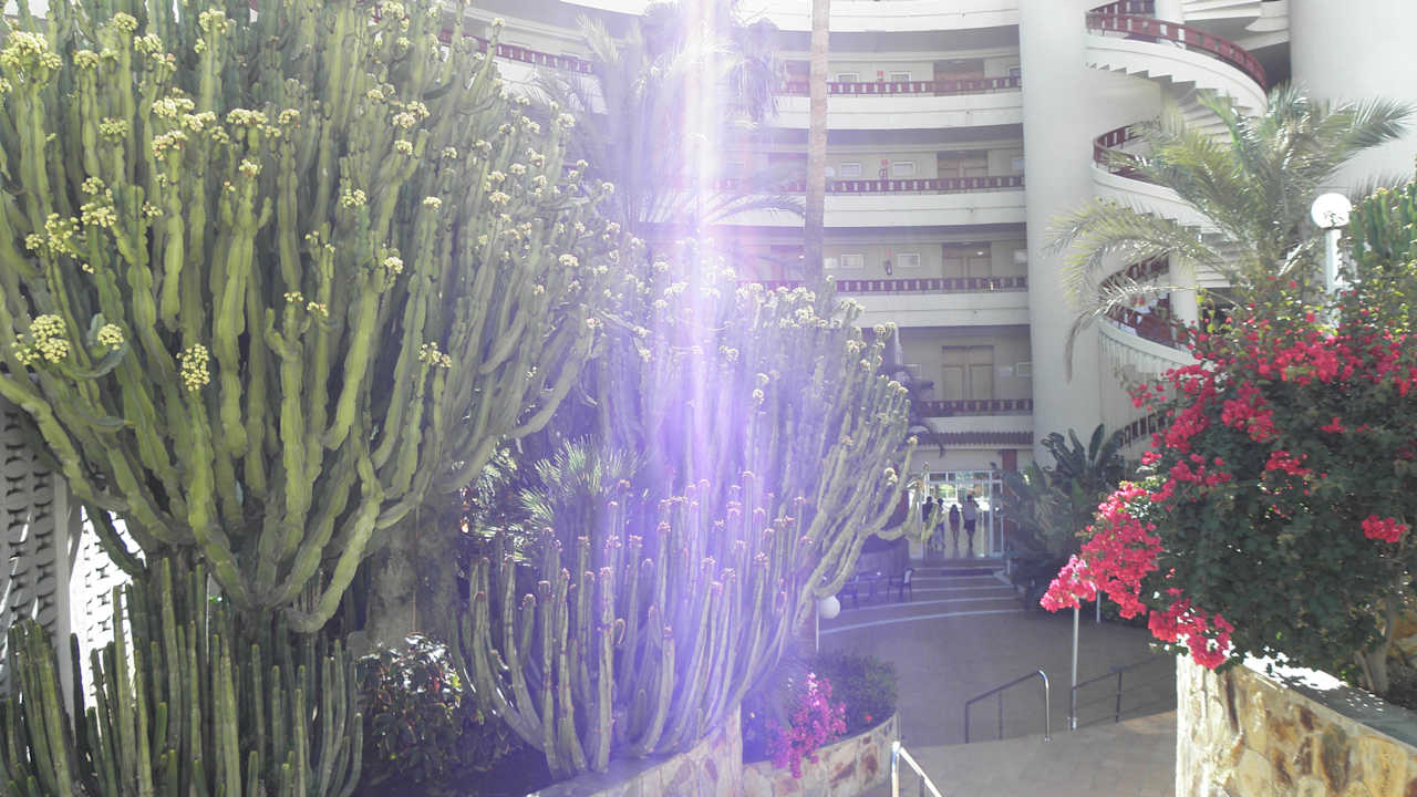 Eingang zum Hotel Rondo in Calle del Timple HL Miraflor Suites Hotel