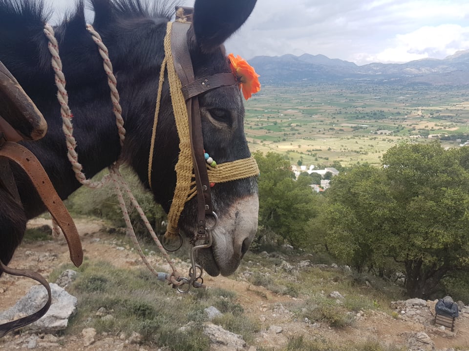 Sonstiges High Beach Resort