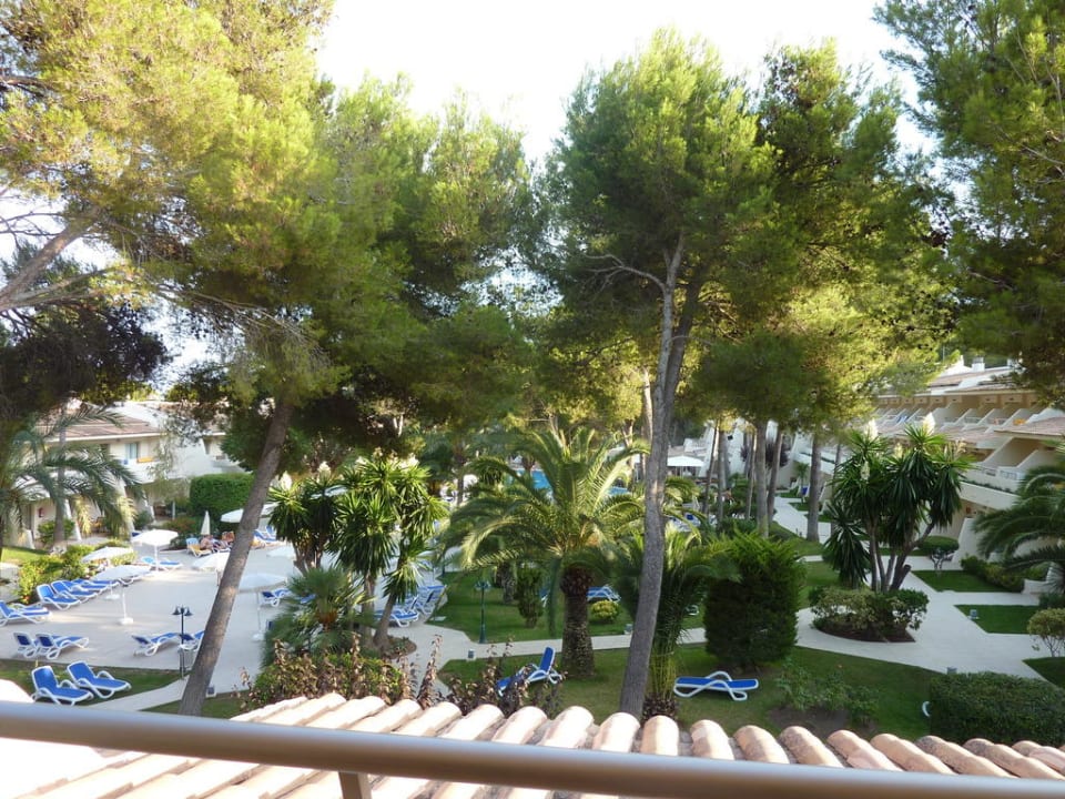 Ausblick vom Zimmer Iberostar Waves Pinos Park